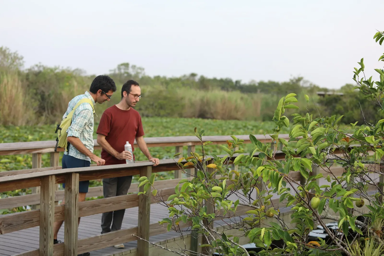 Two visitors looking out over the marsh from the Anhinga Trail boardwalk