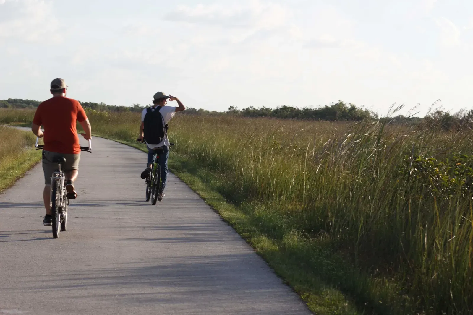 Two people riding bicycles on the paved Shark Valley loop road through sawgrass