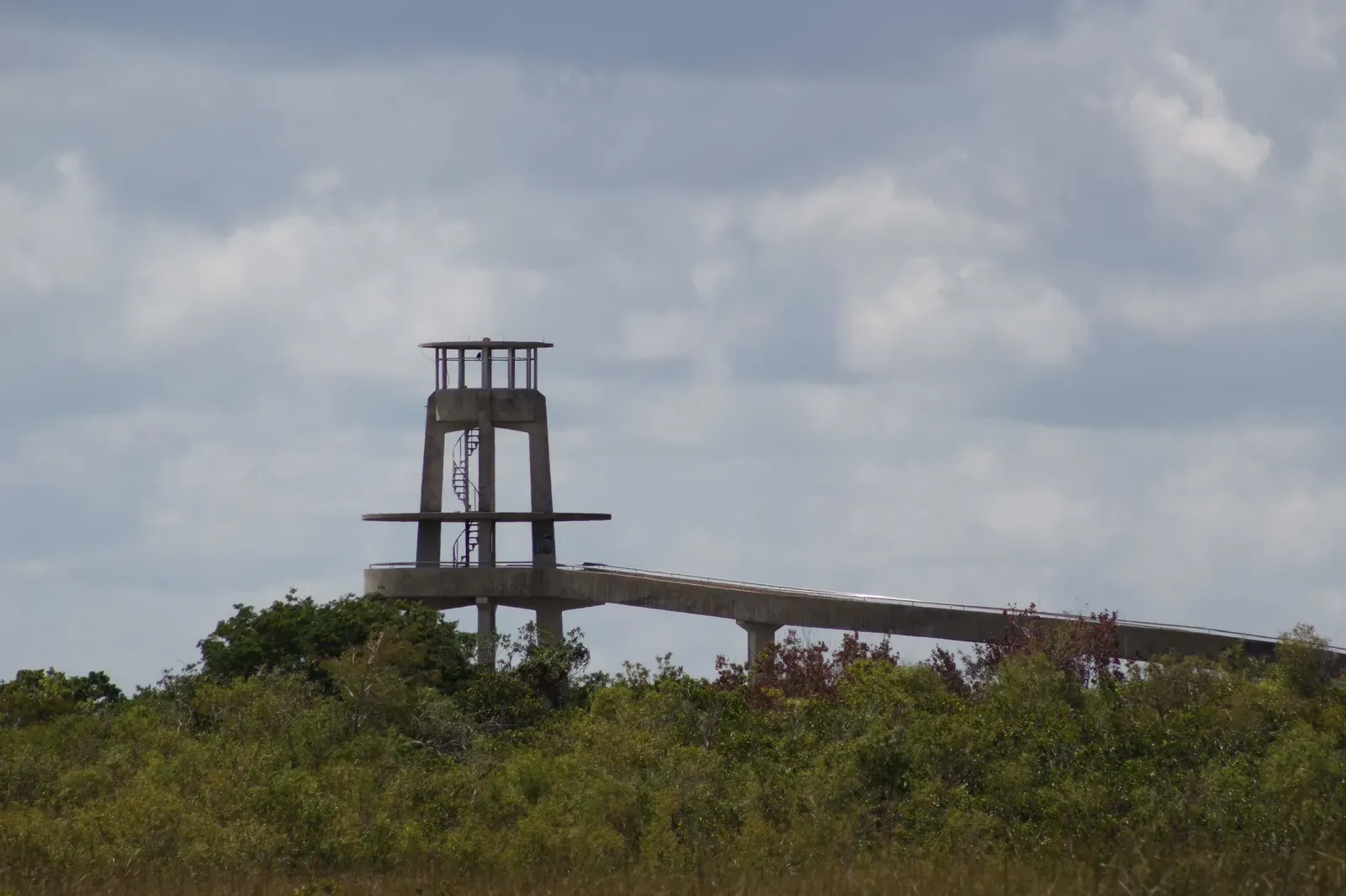 Shark Valley observation tower and ramp rising above the marsh vegetation